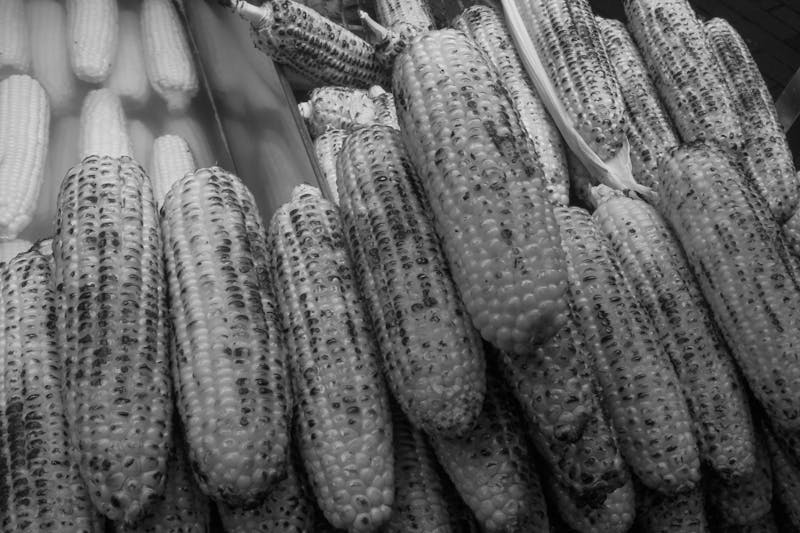 Fresh corn on the cob with herb butter